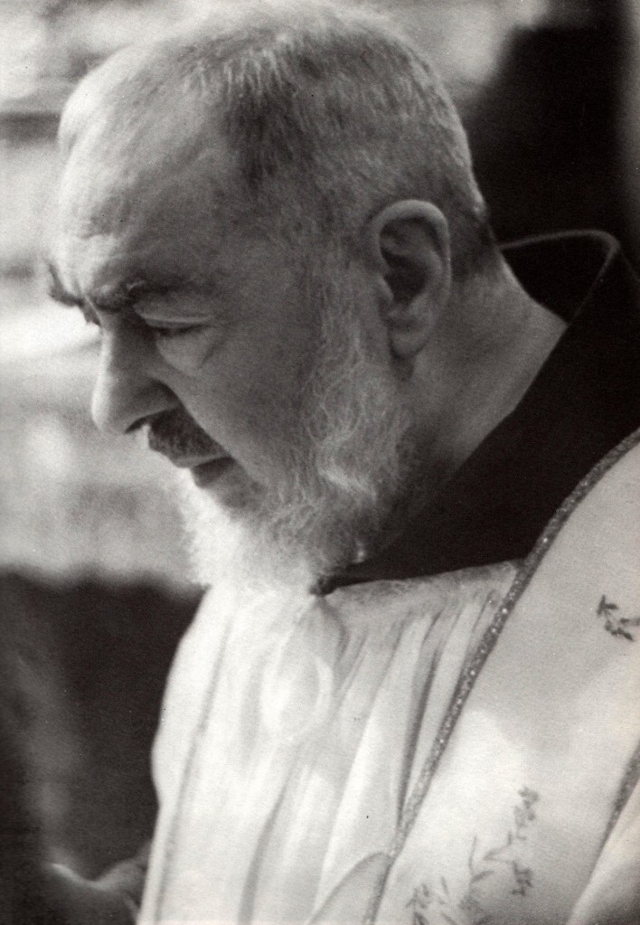 padre pio volto 5 001